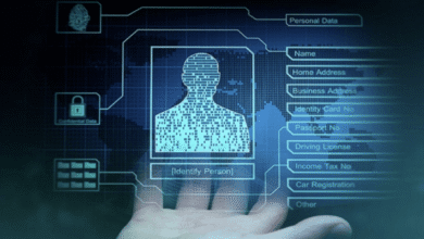 The Future of Secure Digital Identities