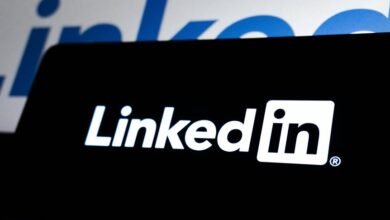 expand online authority digitally platform